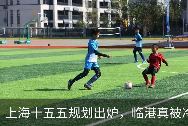上海十五五规划出炉，临港真被冷落了？住在滴水湖的人最有发言权