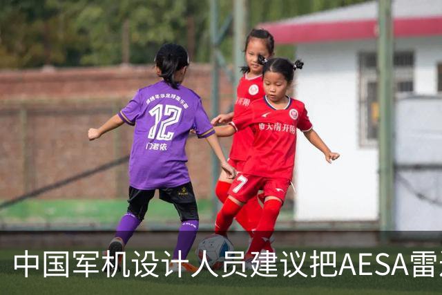 中国军机设计人员建议把AESA雷达嵌入战机机翼