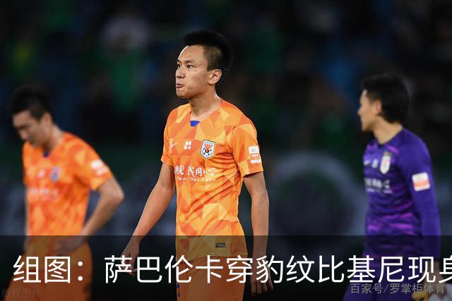 组图：萨巴伦卡穿豹纹比基尼现身海边 展示曼妙曲线