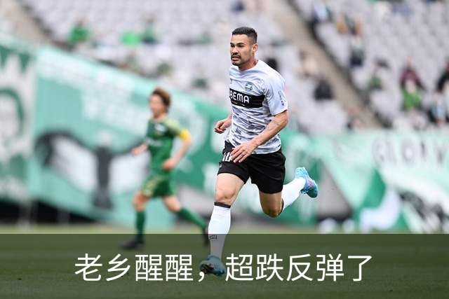 老乡醒醒，超跌反弹了